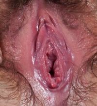 hairyfuckpics.com